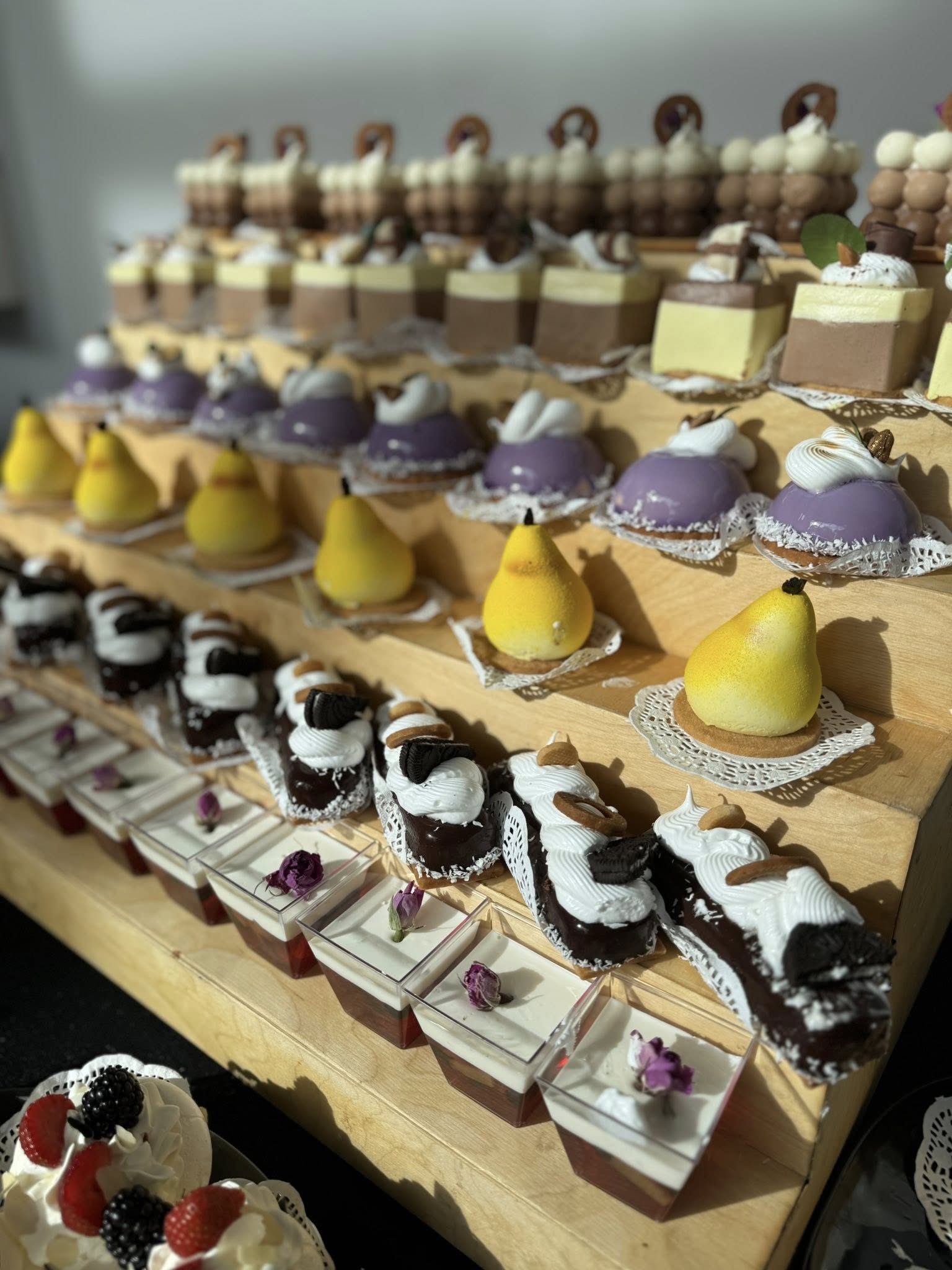 555437591_1141395788088691_4569796556068507549_n